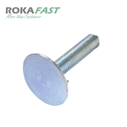 ≈DIN15237 Riembouten met moer en ring