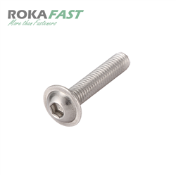 ISO7380-2 Laagbolkopschroef met flens binnenzeskant