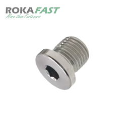 DIN908 Binnenzeskant afdichtpluggen met kraag