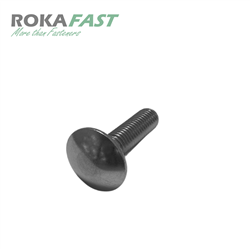 DIN603 Slotbouten Voldraad