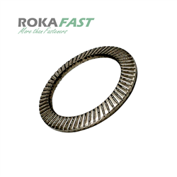 Borgveerringen Type S (Schnorr)