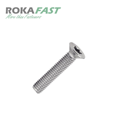 ISO14581 Verzonken schroef met T-ster