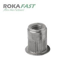 Blindklinktmoeren Cilinderkop High-torque